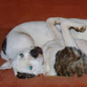 Meet your Posher, Hugh